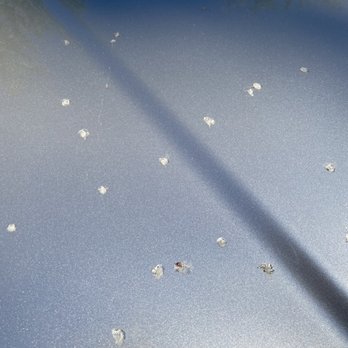 Keeboo Car Wash - Sap is really difficult to remove, first time car owner learning new things every day! - Car Wash Near Me - Lynnwood, Washington