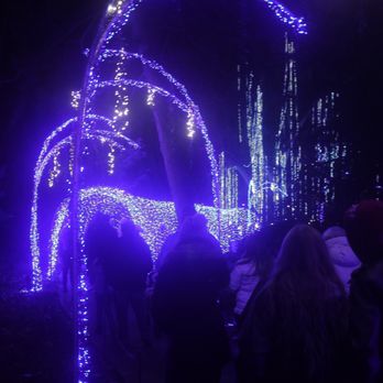 Winterlights at Newfields - Festivals Near Me - Indianapolis, Indiana