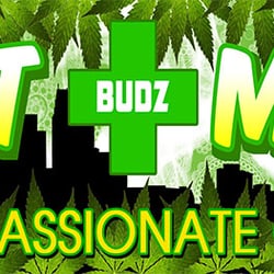 Detroit Medical Budz