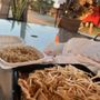 Pick Thai