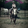 Photo of Savage Farrier & Horse Training Service