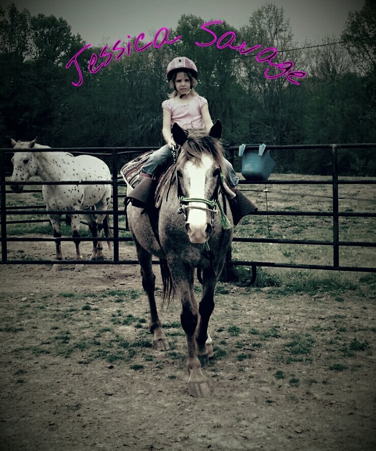 Savage Farrier & Horse Training Service - equestrian in Livingston, TN