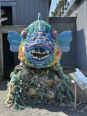 Oregon Coast Aquarium by null