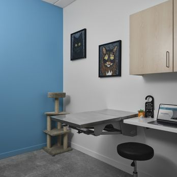 Glendora Hills Pet Hospital - Veterinarians Near Me - Glendora, California Glendora Hills Pet Hospital - Veterinarians Near Me - Glendora, California