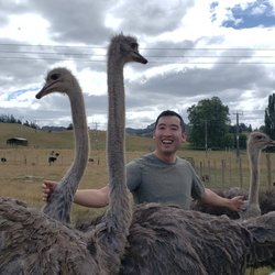 Waitomo Big Bird B&B - ostriches