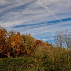 Vincent DiFilippo Nature Preserve