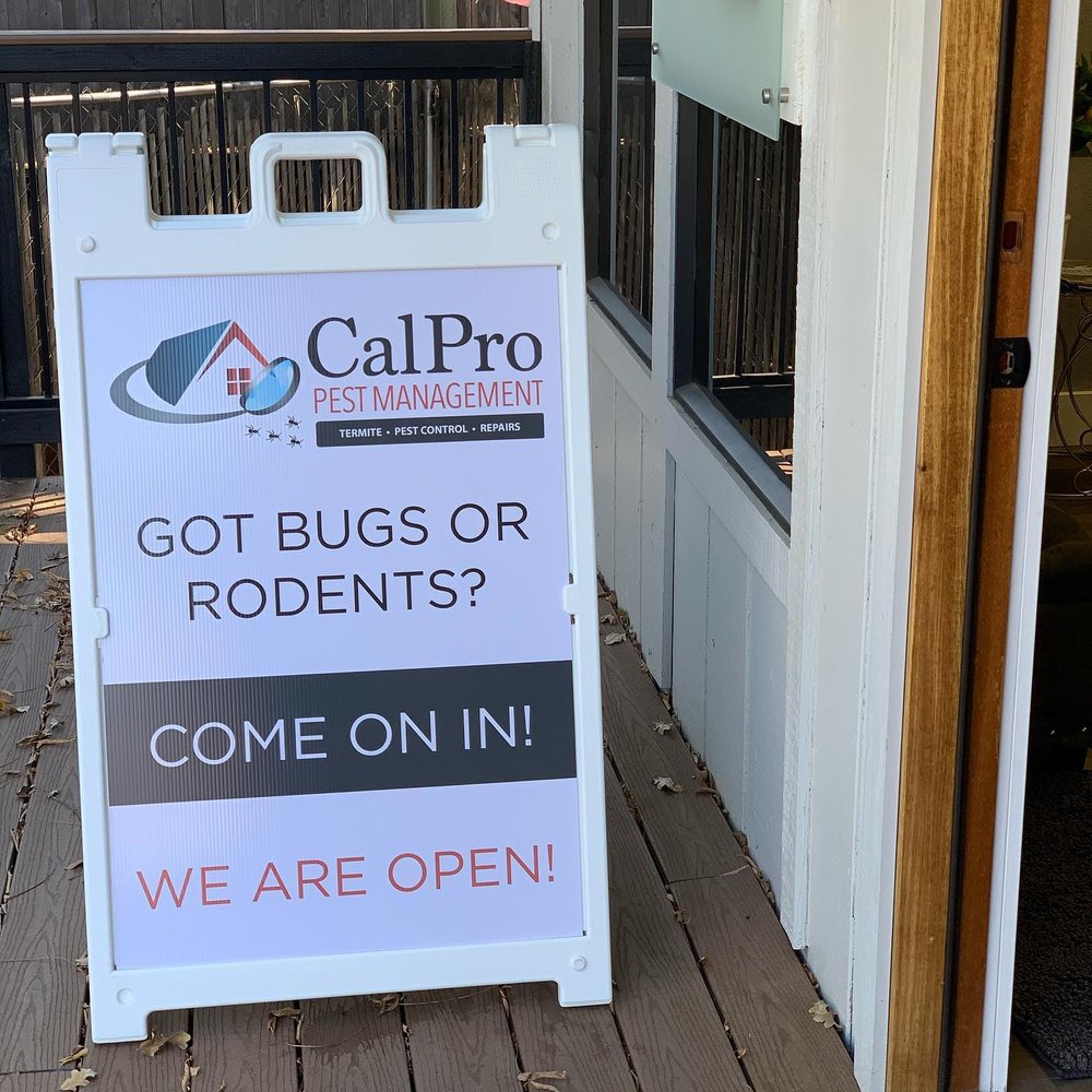 CalPro Inspection Group - mold inspector in Campbell, CA