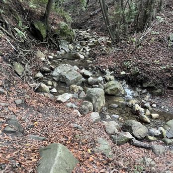 Nojoqui Falls County Park - Stream - Parks Near Me - Solvang, California Nojoqui Falls County Park - Stream - Parks Near Me - Solvang, California