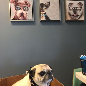 The Pet Parlor Mobile - Pet Groomers Near Me