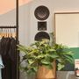 Photo of Aritzia