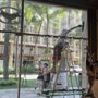 Photo of Dragonfly Pressure Washing