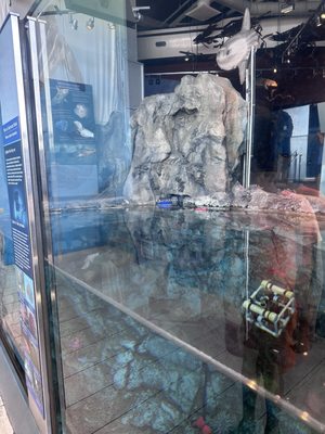 Monterey Bay National Marine Sanctuary Exploration Center by null