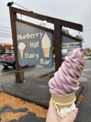 Blueberry Hill Dairy Bar by null