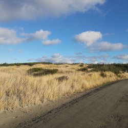 City Of Grayland