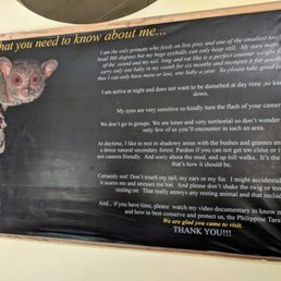 Facts about the Tarsier Facts about the Tarsier
