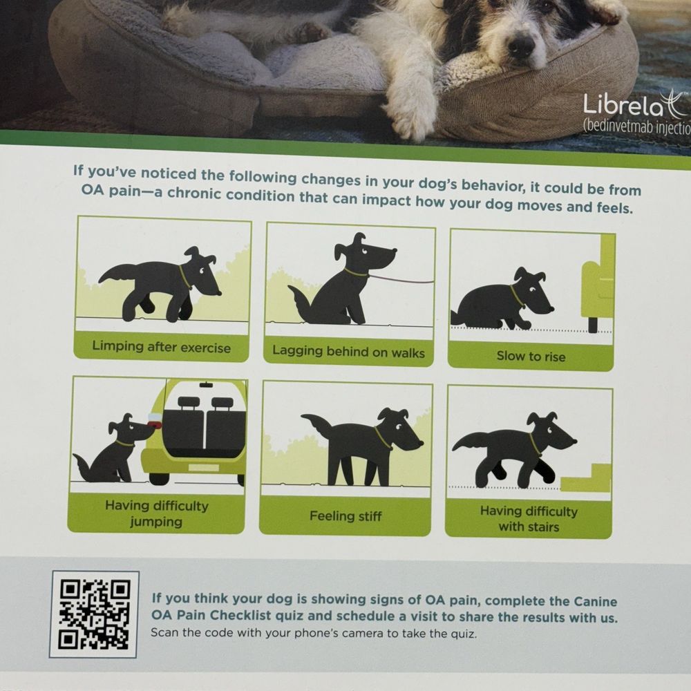 Jam Veterinary Services - Pain in your dog's body? - Veterinarians Near Me - Pahrump, Nevada