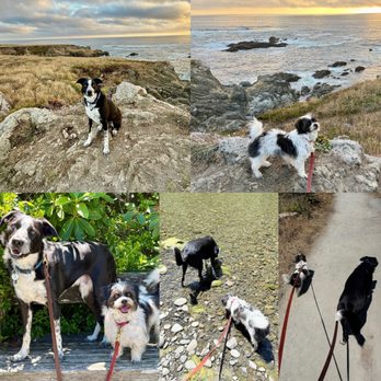 Fort Bragg Coastal Trail - Parks Near Me - Fort Bragg, California