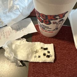 Lucky Dog - Looks like plastic to me