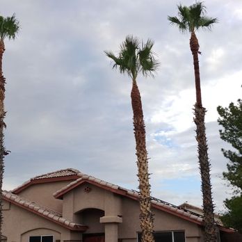 George Scaff Tree Service - Tree Services Near Me George Scaff Tree Service - Tree Services Near Me