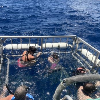Hawaii Shark Encounters - Cage - 6 people - 2 on each side and you move around - Diving Near Me - Haleiwa, Hawaii Hawaii Shark Encounters - Cage - 6 people - 2 on each side and you move around - Diving Near Me - Haleiwa, Hawaii