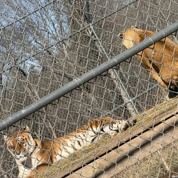 Zootastic Park - Zoos Near Me - Troutman, North Carolina Zootastic Park - Zoos Near Me - Troutman, North Carolina