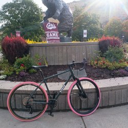 Spotted Dog Cycles