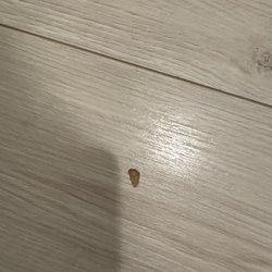 Worldwide Wholesale Floor Coverings
