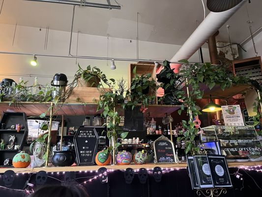 Memento Mori Cafe by null