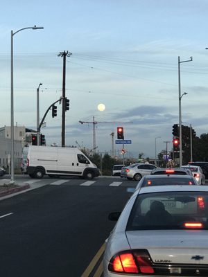 Santa Monica Airport by null