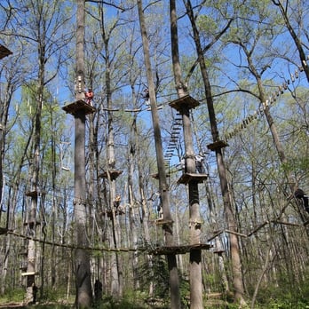 Pocono TreeVentures - Example of the Ropes Course. - Challenge Courses Near Me - East Stroudsburg, Pennsylvania Pocono TreeVentures - Example of the Ropes Course. - Challenge Courses Near Me - East Stroudsburg, Pennsylvania