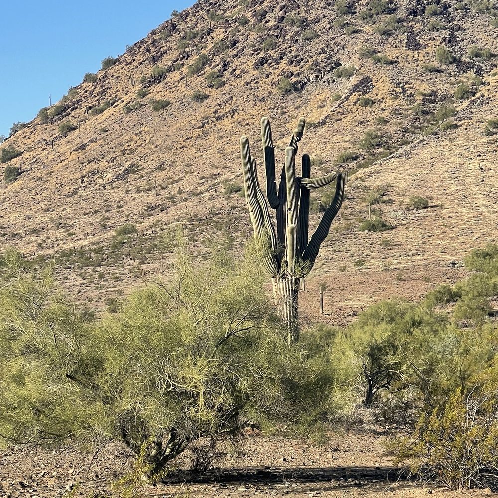North Mountain Visitor Center - Visitor Centers Near Me - Phoenix, Arizona North Mountain Visitor Center - Visitor Centers Near Me - Phoenix, Arizona