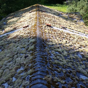 Roth Window & Pressure Washing - Roof we cleaned in LA Conner. This is before obviously. - Pressure Washers Near Me Roth Window & Pressure Washing - Roof we cleaned in LA Conner. This is before obviously. - Pressure Washers Near Me