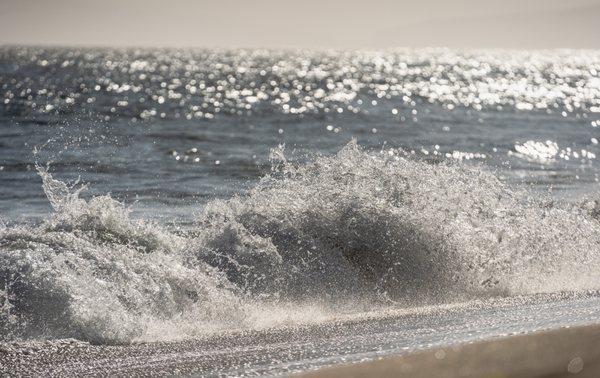 Limantour Beach by null