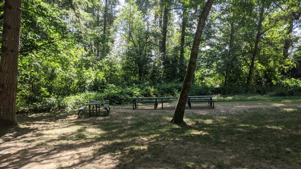 Tolt-MacDonald Park & Campground by null
