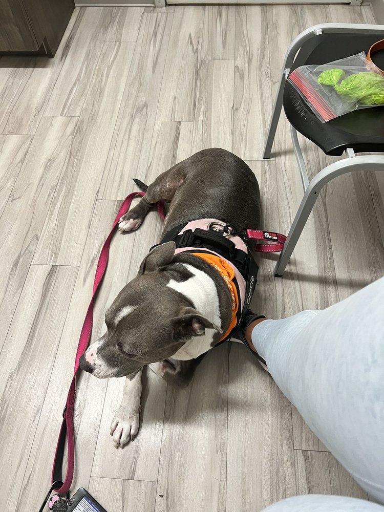 RIVER CITY VETERINARY HOSPITAL Updated June 2024 4030 Herschel St