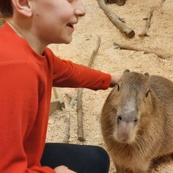 Sustainable Safari - We enjoyed all the capybaras!!!