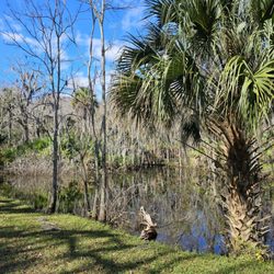 Tuscawilla Park