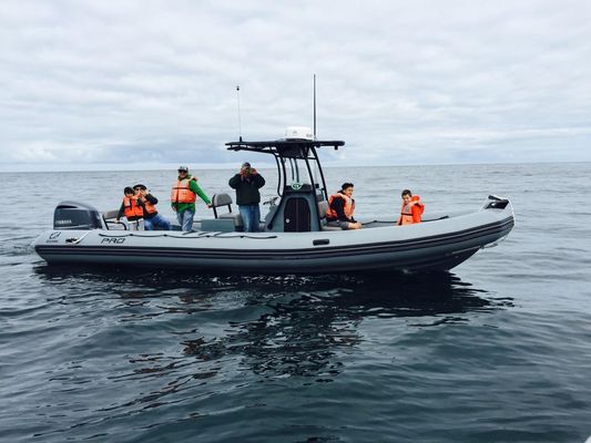 Whale's Tail Charters by null