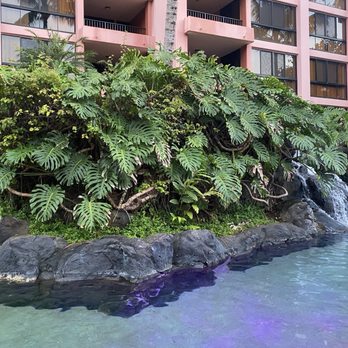 Kahana Falls - Pool - Hotels Near Me - Lahaina, Hawaii Kahana Falls - Pool - Hotels Near Me - Lahaina, Hawaii