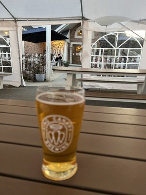 King Canary Brewing by null