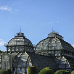 Palmenhaus