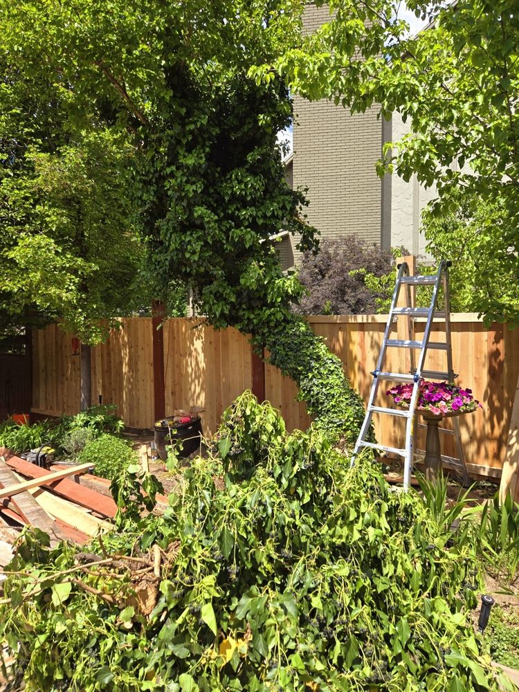 EverRoot Tree Services & Landscaping - tree service in Sandy, UT