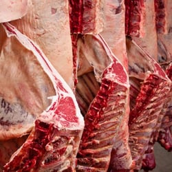 Greenfield Custom Meat - Custom Butchering
