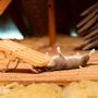 Photo of Rodent Proofing