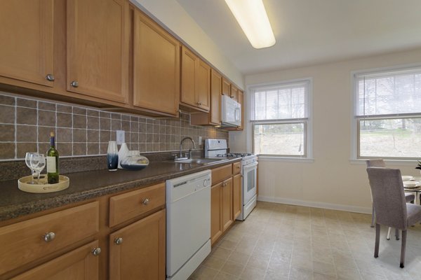 Elkins Park Gardens by null