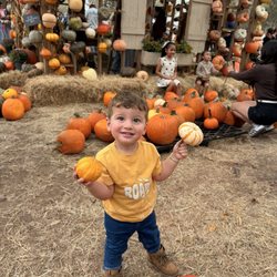 Fox Squirrel Corn Maze - Lugar d fotos
