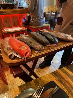 Hooked Beaver Creek by null