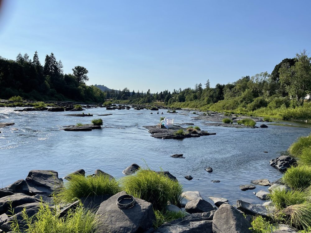 ELKTON RV PARK Updated September 2024 29 Photos & 20 Reviews 450