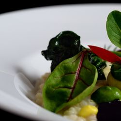 OlisticHouse Vegan - Dettagli risotto vegan