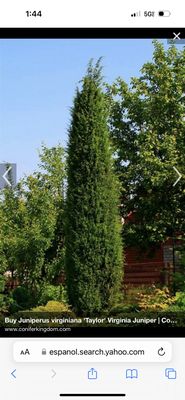 ESD Landscaping And Lawn Care